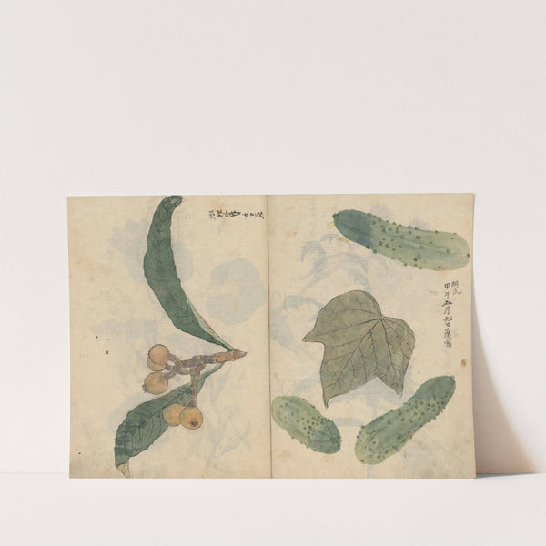 Sketchbook Pl.101 (1826-1840) by Ariyoshi Kondo
