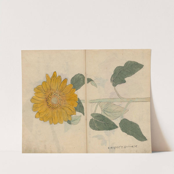 Sketchbook Pl.103 (1826-1840) by Ariyoshi Kondo