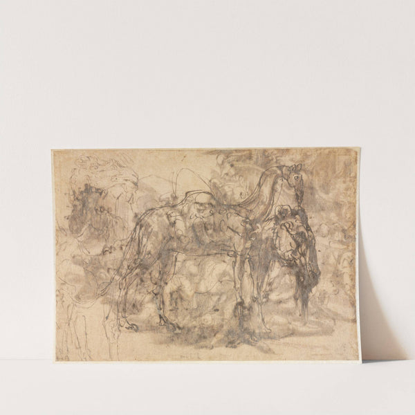 Sketches of Animals (c. 1545-47) by Perino Del Vaga