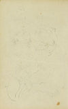 Sketches of head and hind legs of a lion