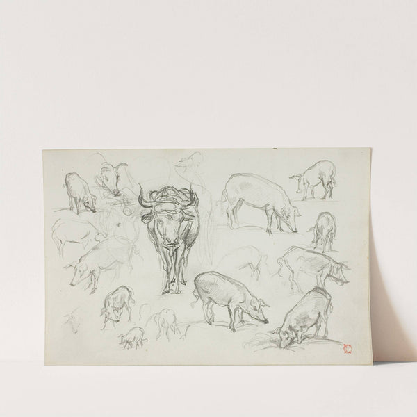 Sketches of Swine and an Ox by Charles François Daubigny