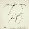 Sketches Related to Painting of Marcus Curtis