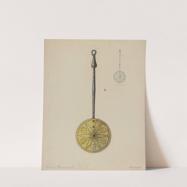 Skimmer by Herbert Marsh