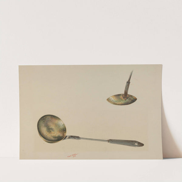 Skimmer by Charles Moss