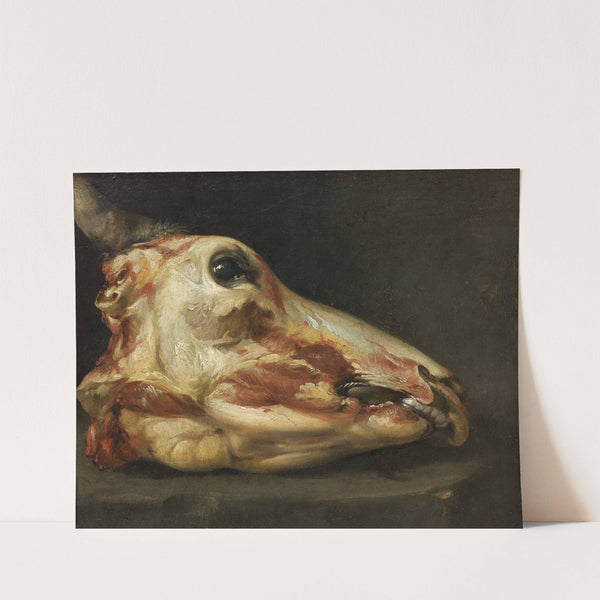 Skinned Head Of An Ox by Felice Boselli