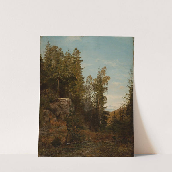 Skoginteriør. Bjelland, Mandal by Amaldus Nielsen