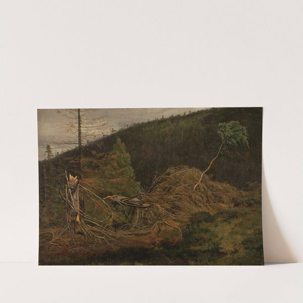 Skogparti by Amaldus Nielsen