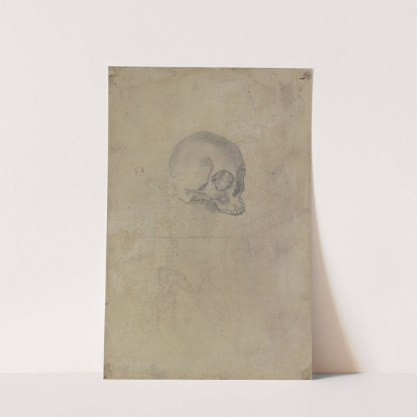 Skull by Otto Scholderer