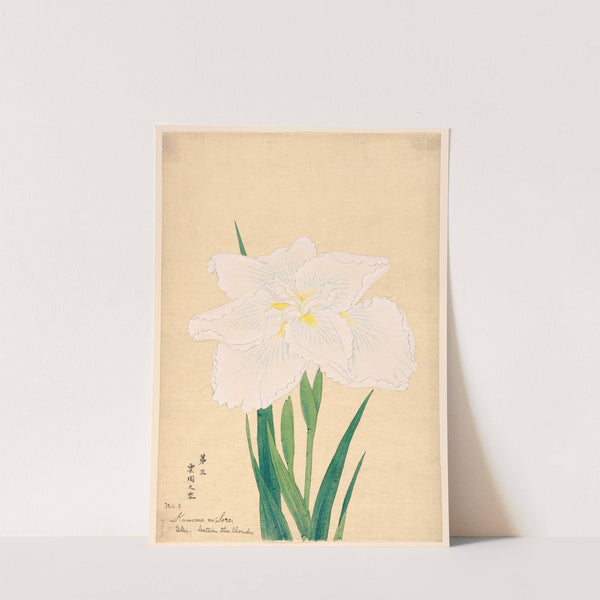 Sky Between the Clouds (Kumoma no Sora) (1910)