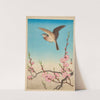 Skylark in flight above blossoming peach (circa 1931) by Ohara Koson