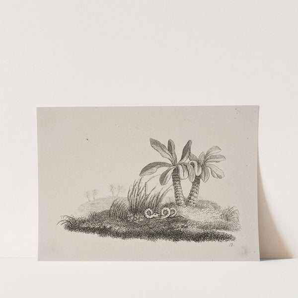 Slangen by Oluf Olufsen Bagge