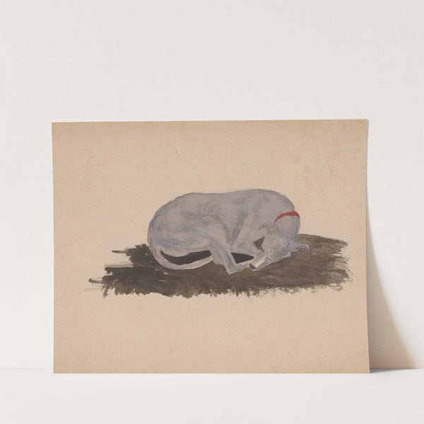 Slapende hond by Johannes Tavenraat