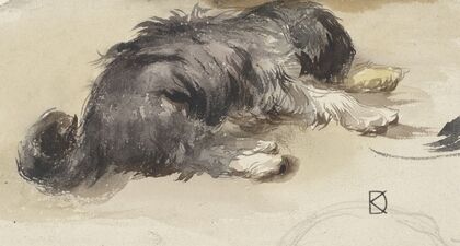Slapende hond, van achteren gezien