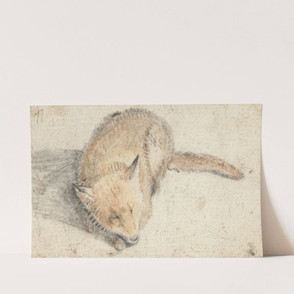 Slapende vos by Gerard ter Borch