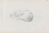 Sleeping cat (between 1855 and 1857)