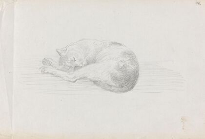 Sleeping cat (between 1855 and 1857)
