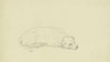Sleeping dog 2