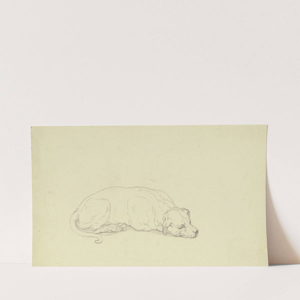 Sleeping dog 2 by Ferdinand Fellner