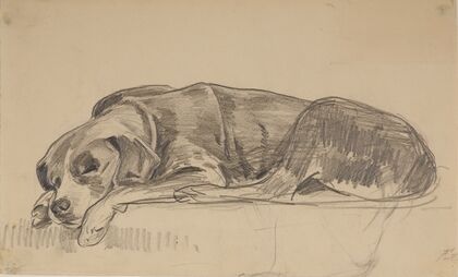 Sleeping dog (1900-1906)