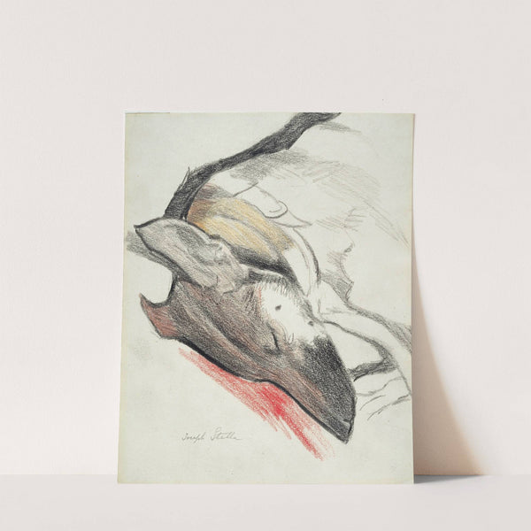 Sleeping Dog by Joseph Stella