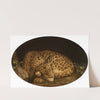 Sleeping Leopard (1777) by George Stubbs