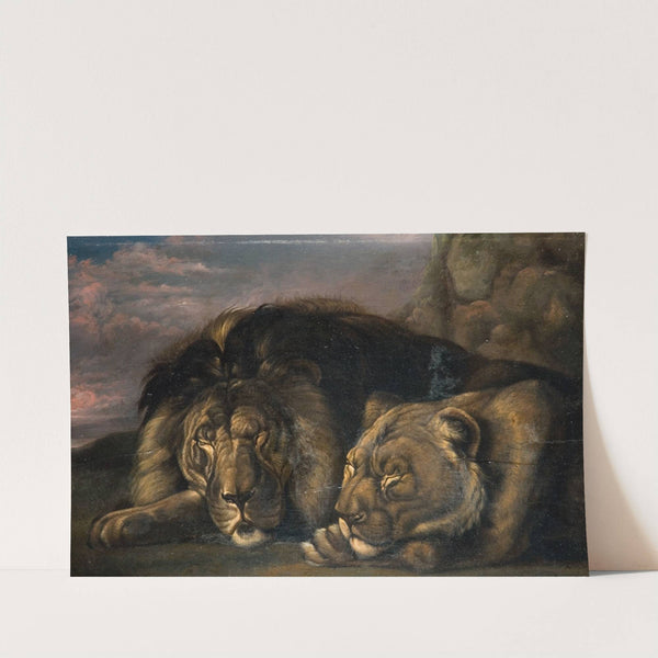Sleeping Lion and Lioness by Samuel Raven