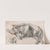 Sleeping Pig by James Ward