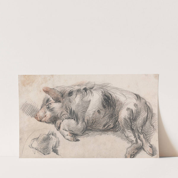 Sleeping Pig by James Ward