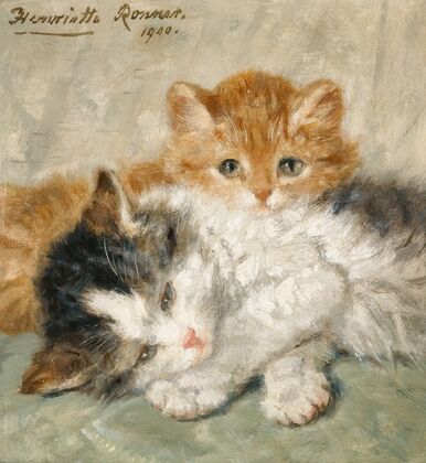 Sleepy Kittens