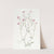 Slender-flowered Gilia by Sydenham Edwards