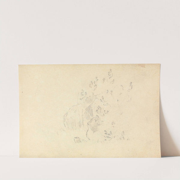 Slight Sketch of Rocks and Leaves by Thomas Bradshaw