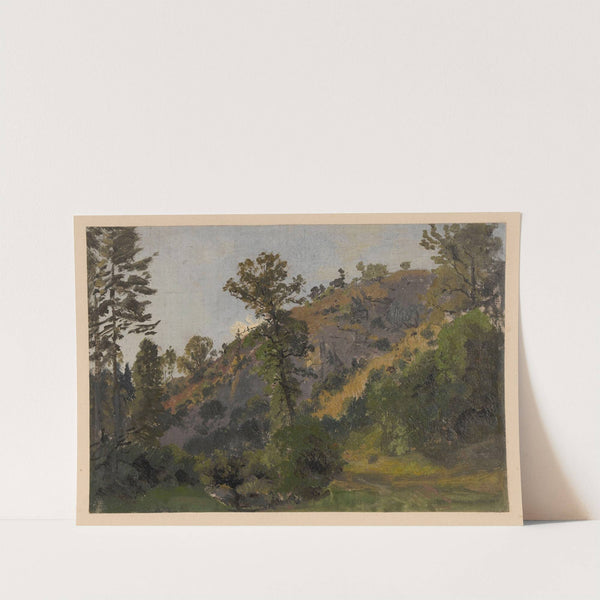 Slope overgrown with trees in the Szczawnik valley (1850-1881) by Adolf Dressler