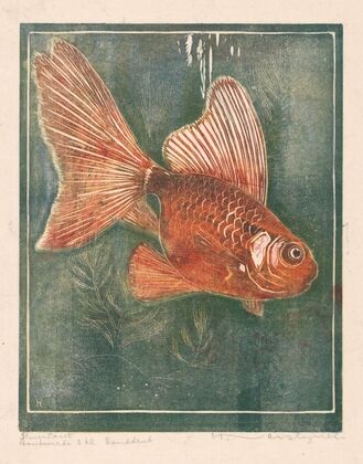Sluierstaart (1892-1940)