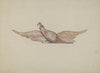 Small Carved Bellamy Eagle