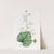 Small-flowered Heuchera by Sydenham Edwards
