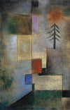 Small Picture of Fir Trees
