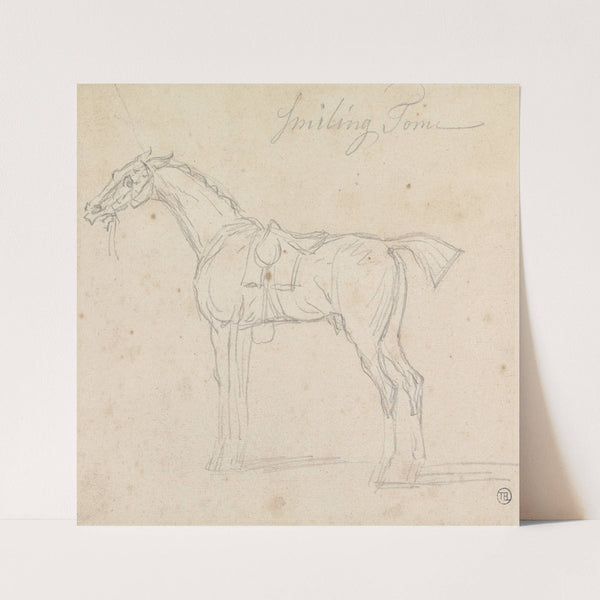 Smiling Tom, Saddled and Bridled; Standing, Facing Left by James Seymour