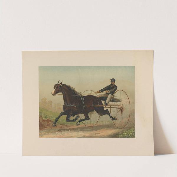 Smuggler by Scott Leighton