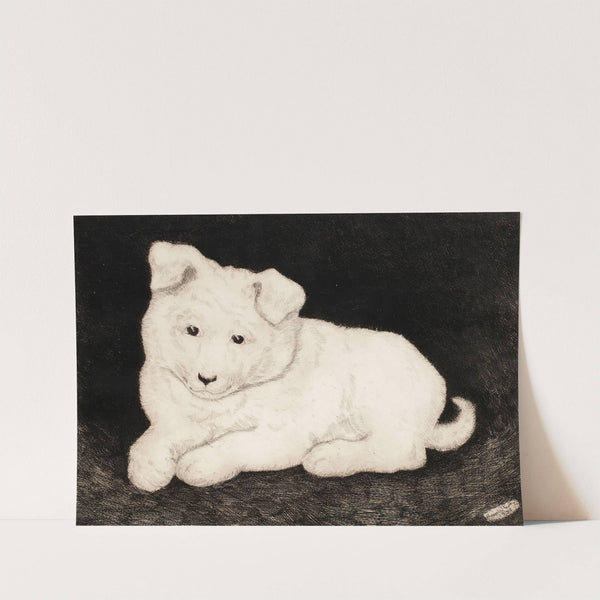 Sneggie, White Puppy by Hjalmar Hagelstam