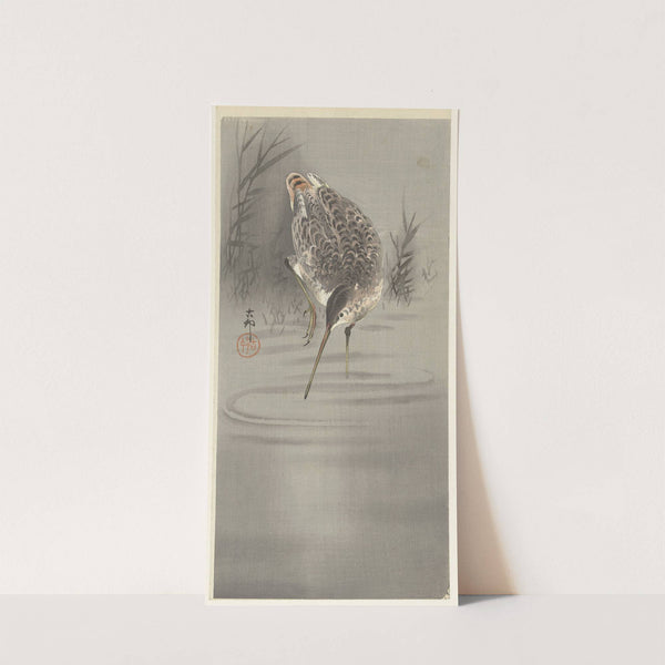 Snip in water by Ohara Koson