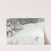 Snow by Gustaf Fjæstad
