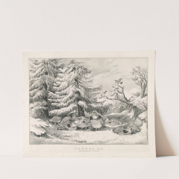 Snowed up; ruffed grouse in winter (1867) by Currier & Ives.