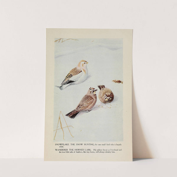 Snowflake the Snow Bunting, Wanderer the Horned Lark by Louis Agassiz Fuertes