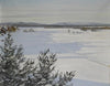 Snowy landscape