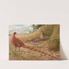 Soemmerring's Copper Pheasant by Edwin Megargee