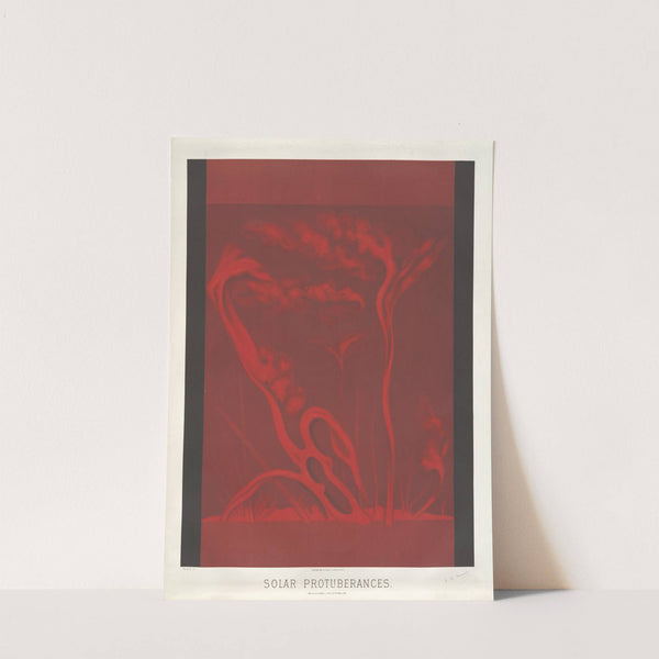 Solar protuberances by Étienne Léopold Trouvelot