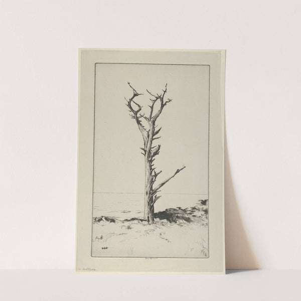 Solitude (between 1900 and 1925) by Ernest Haskell