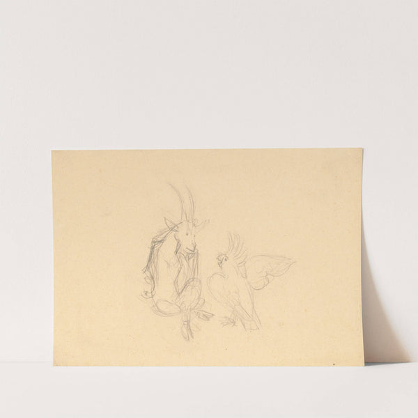 Somárik a kakadu by Ján Novák