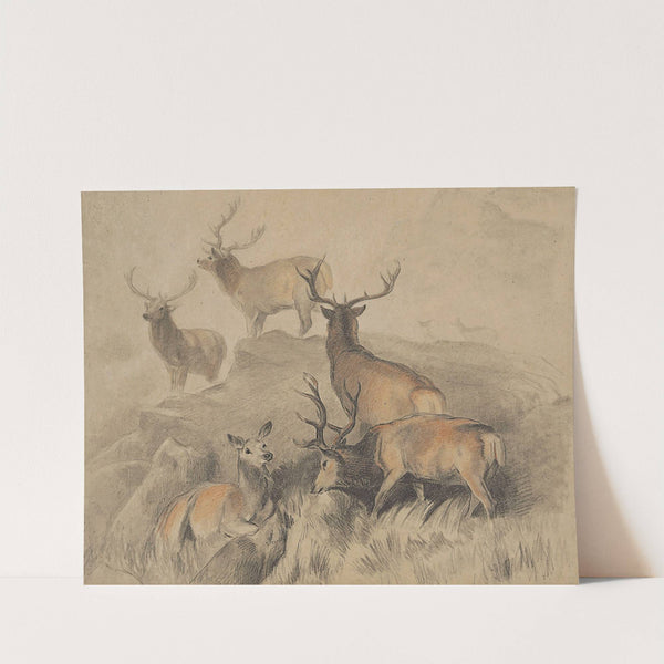 Some of the best harts in the forest by Sir Edwin Henry Landseer