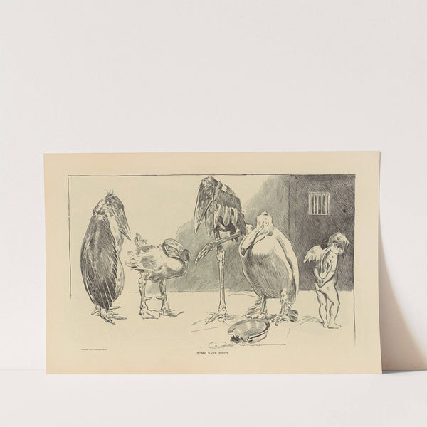 Some rare birds (1893-1900) by Charles Dana Gibson